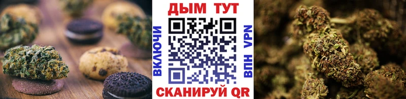 купить наркотик  гидра как зайти  Печенье с ТГК конопля  Жуковский 