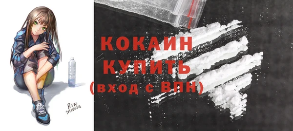 индика Медногорск
