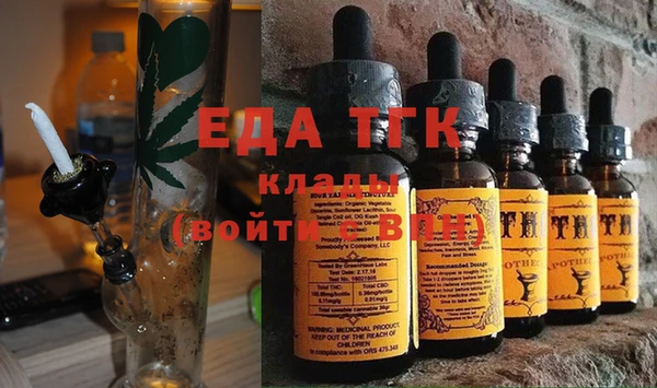 индика Медногорск