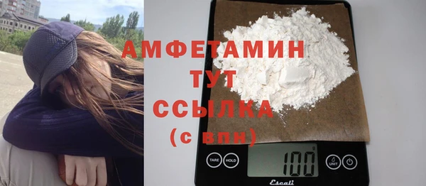 индика Медногорск