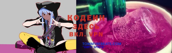 мдпв Медвежьегорск