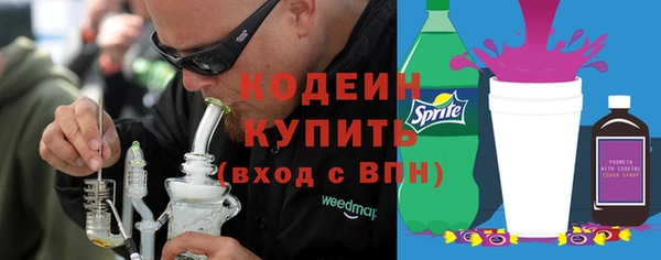 индика Медногорск