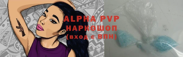 индика Медногорск
