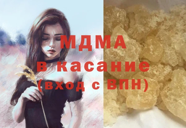 индика Медногорск