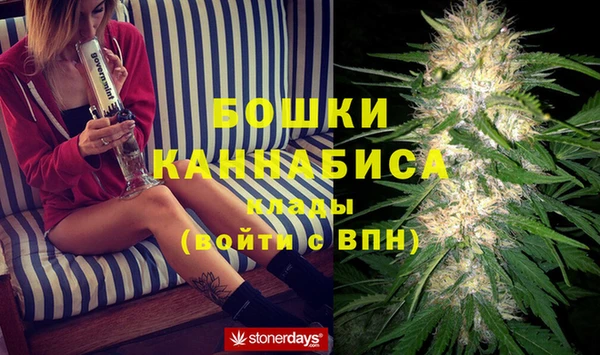 PSILOCYBIN Мегион