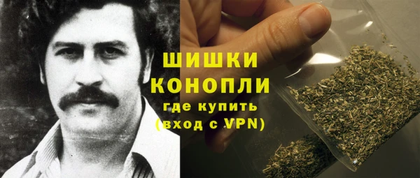 PSILOCYBIN Мегион