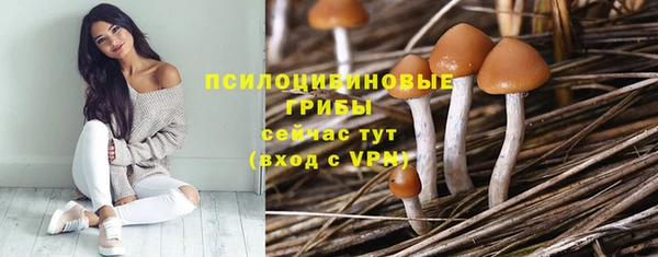 мдпв Медвежьегорск