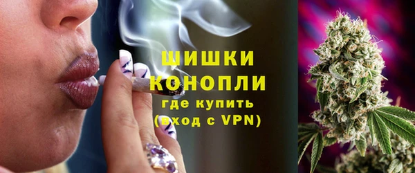 индика Медногорск
