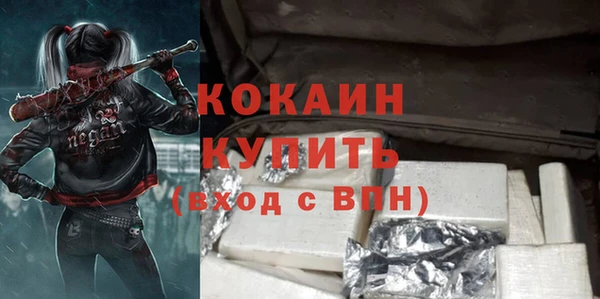 индика Медногорск