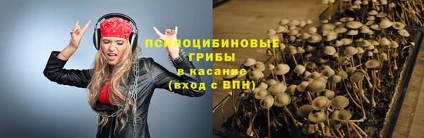 мдпв Медвежьегорск