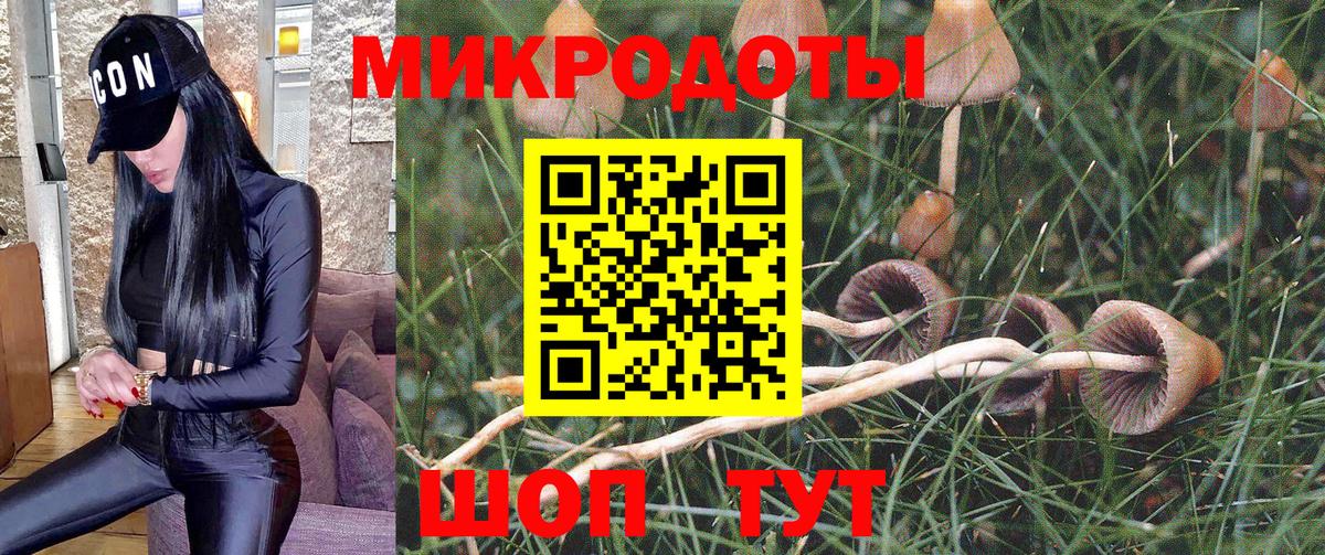 Галлюциногенные грибы Cubensis Жуковский