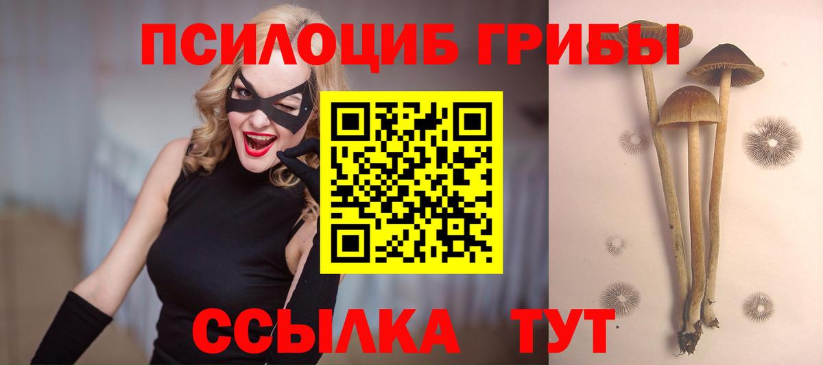 Псилоцибиновые грибы MAGIC MUSHROOMS  Вход с VPN  продажа наркотиков  Жуковский 